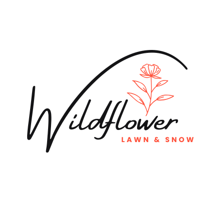 Wildflower Lawn & Snow